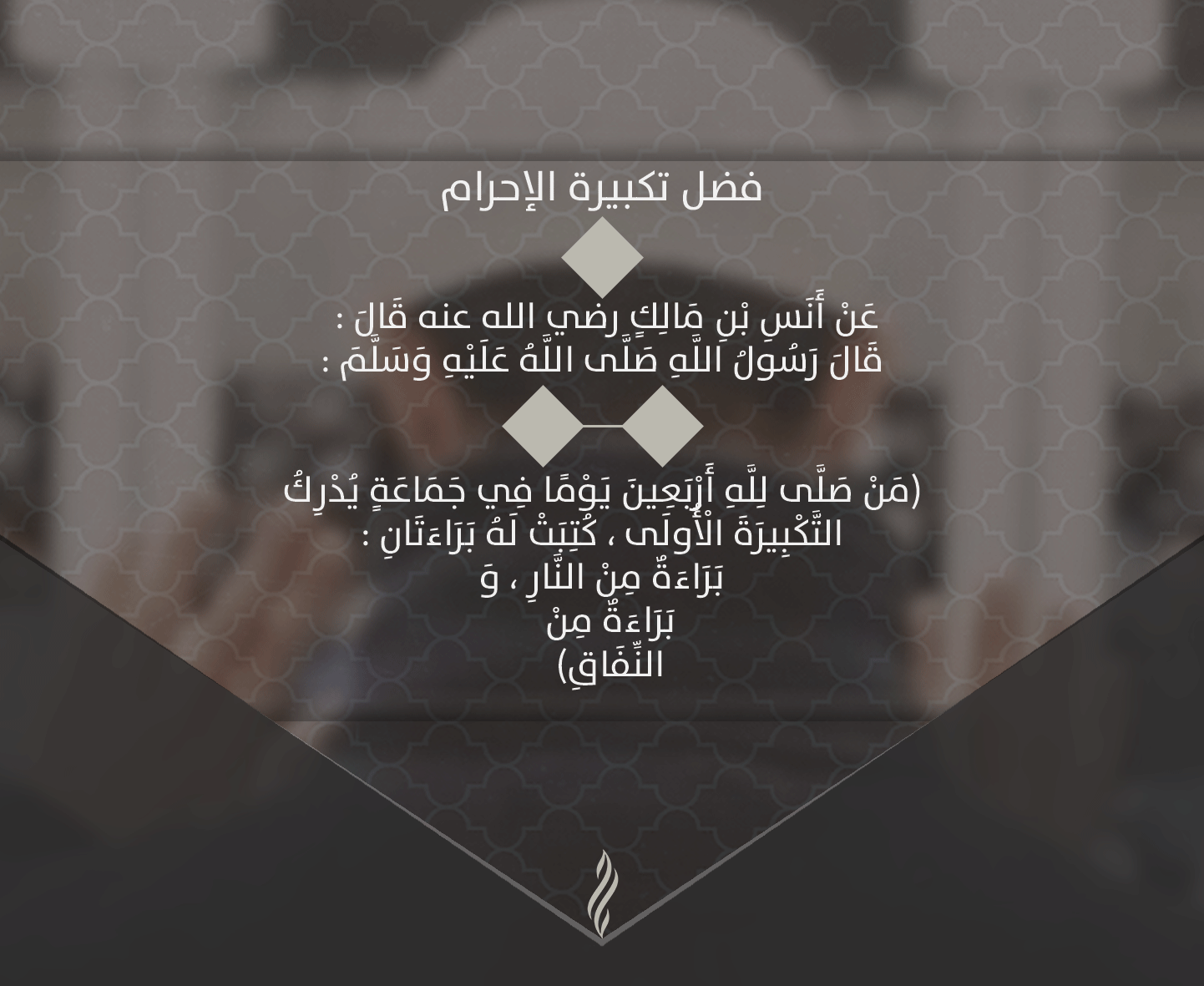مركز تحميل Top4top مجلد ملفات عضو