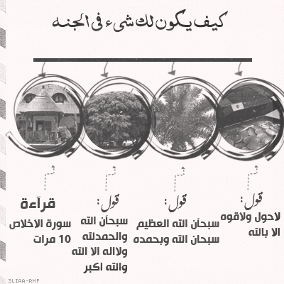 شاركنا بصورة تكسبك أجراً  - صفحة 82 P_1626p66no7