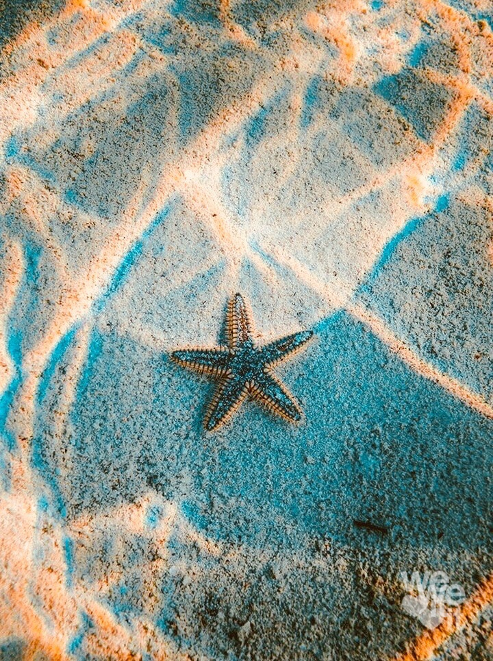 ���� ���� ������ �� ���� ������