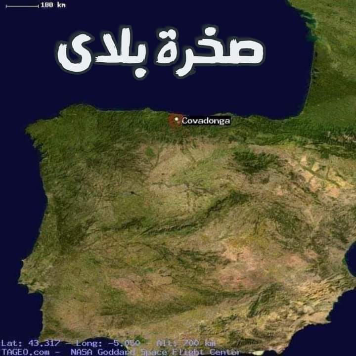 نقره لعرض الصورة في صفحة مستقلة