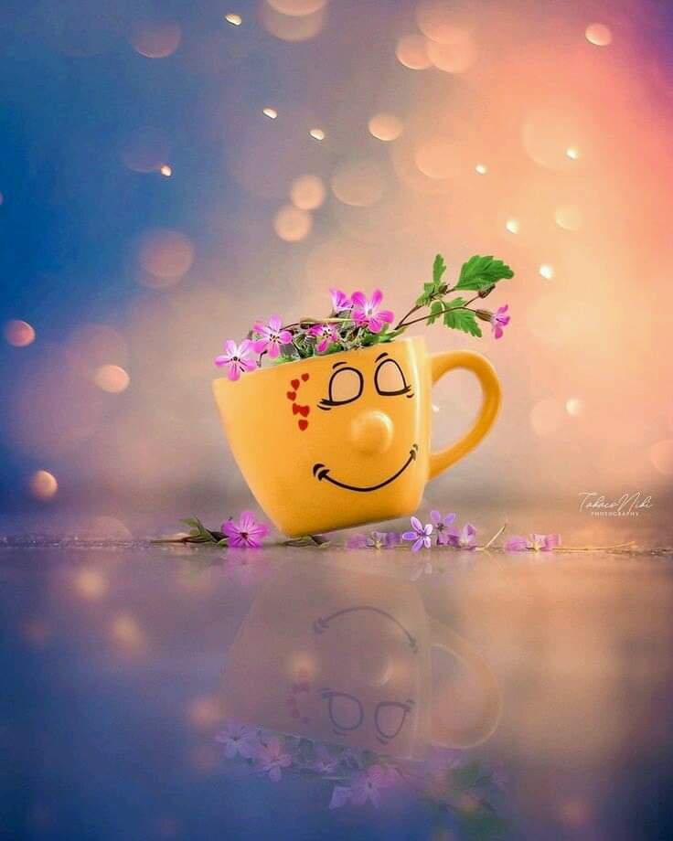 ���� ���� ������ �� ���� ������