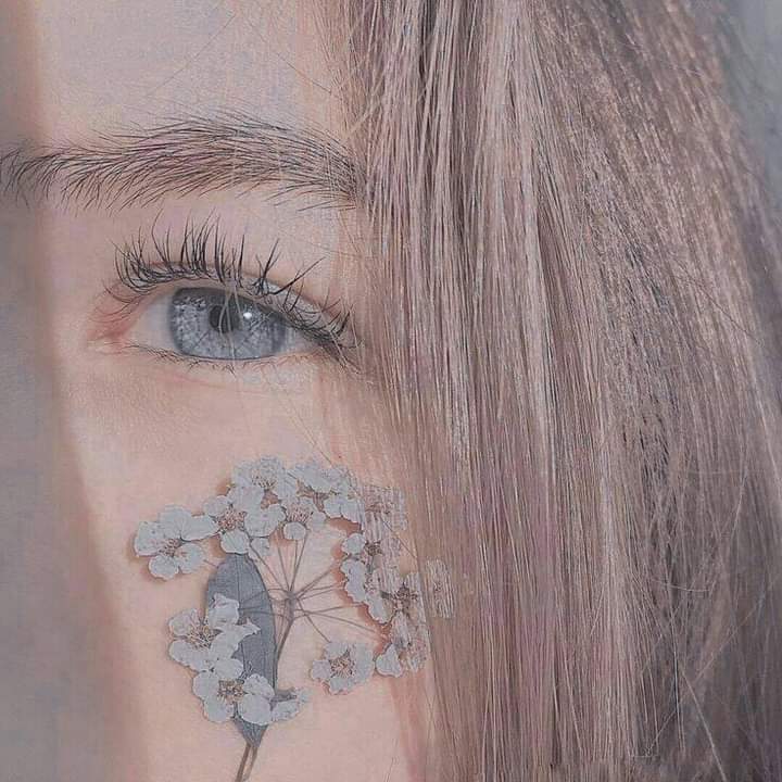 ���� ���� ������ �� ���� ������