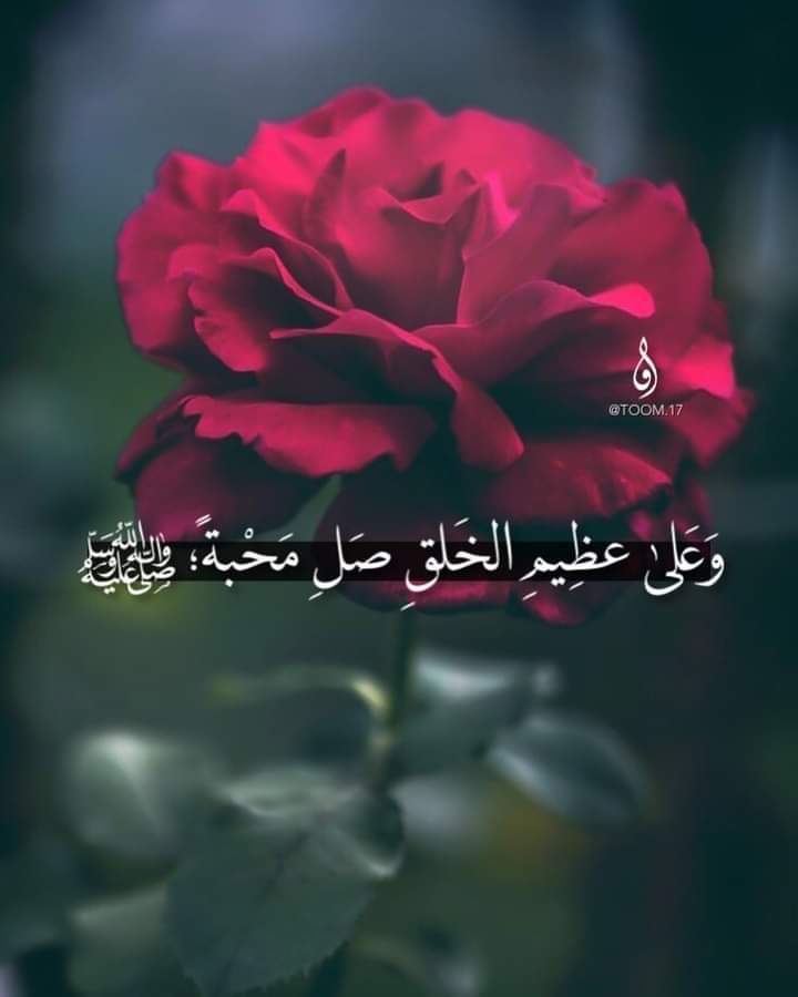 ���� ���� ������ �� ���� ������