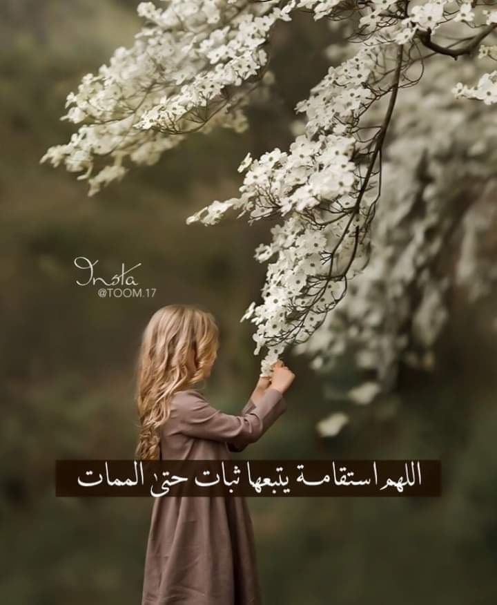 ���� ���� ������ �� ���� ������