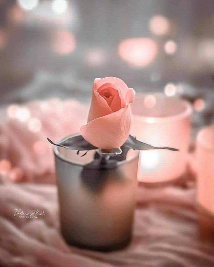 ���� ���� ������ �� ���� ������