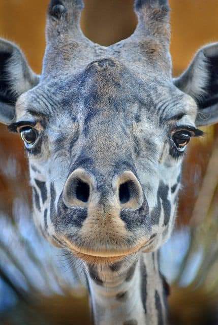 ���� ���� ������ �� ���� ������