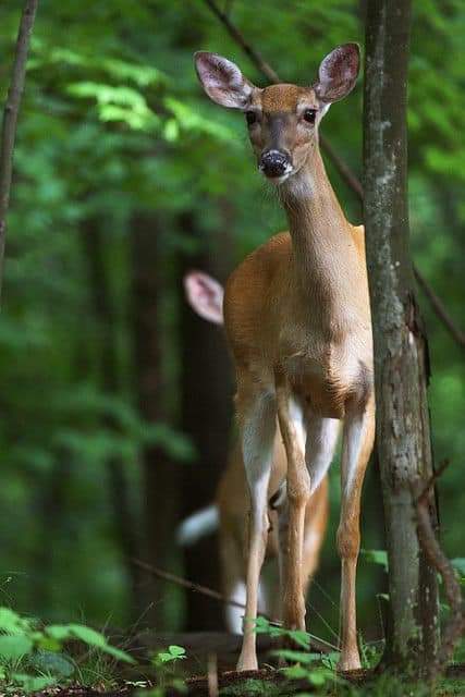 ���� ���� ������ �� ���� ������