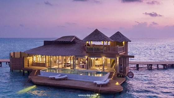  جولة في جزر المالديف ومعرفة طقوس السياحة الامنة 2021 P_1894dvrz71