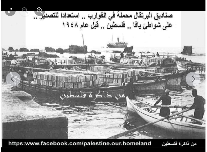 هذا جزء من تاريخ ارض بلادي (فلسطين) P_1962qgtgj4