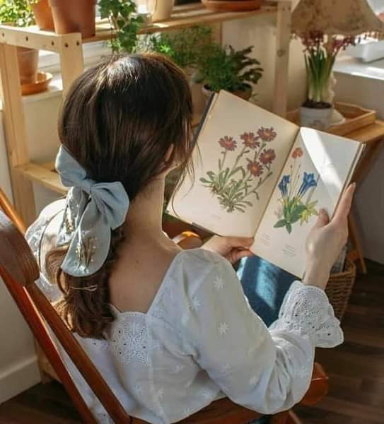 ���� ���� ������ �� ���� ������