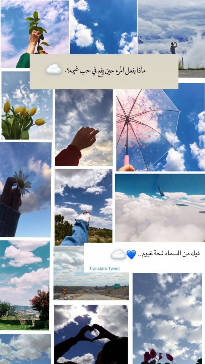 ���� ���� ������ �� ���� ������