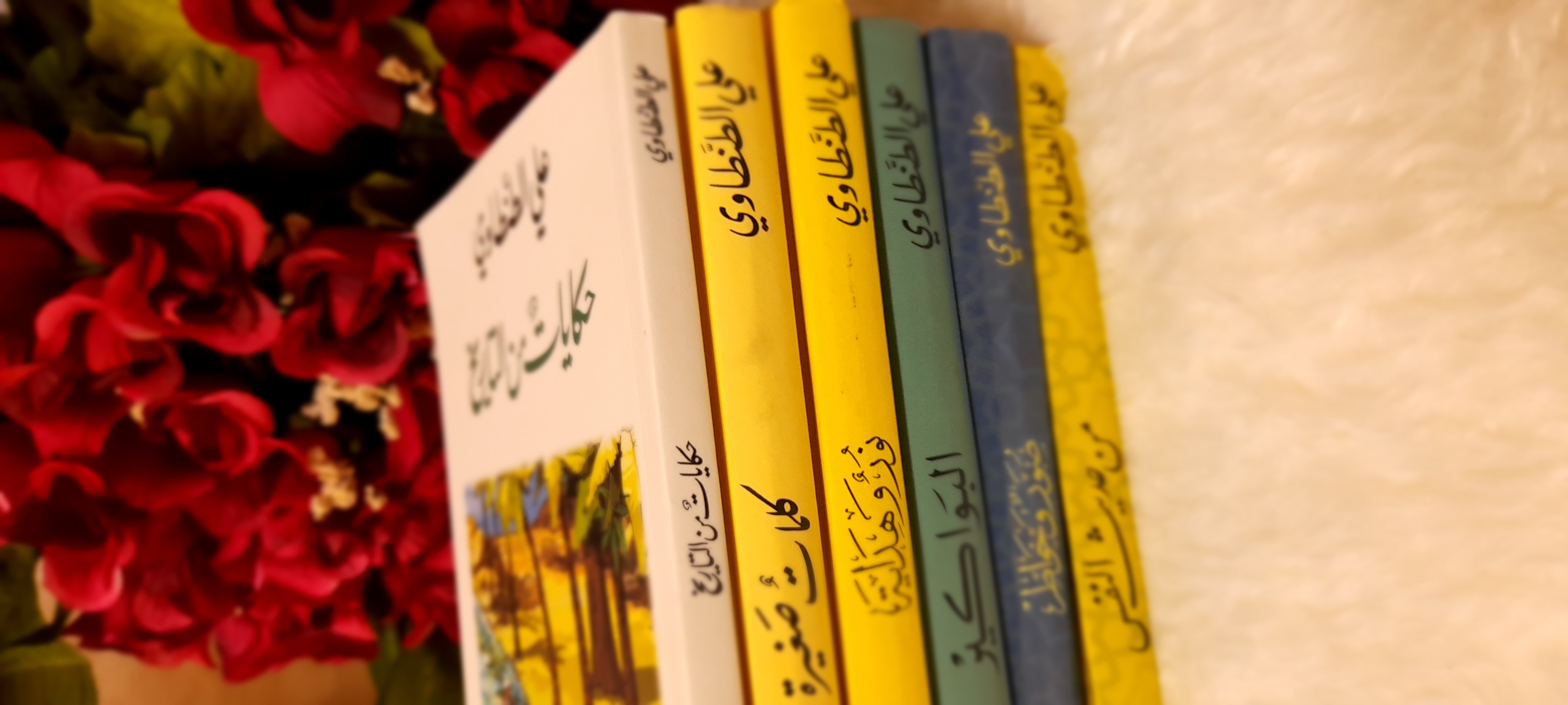 ���� ���� ������ �� ���� ������