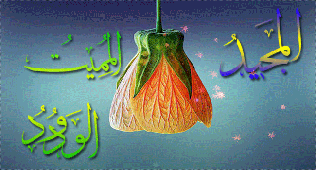 نقره لعرض الصورة في صفحة مستقلة