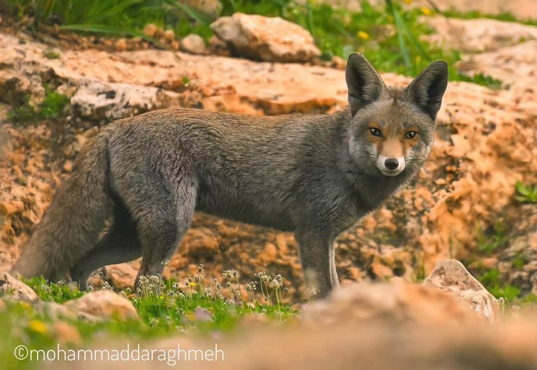 ���� ���� ������ �� ���� ������