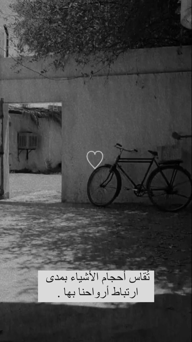 ���� ���� ������ �� ���� ������