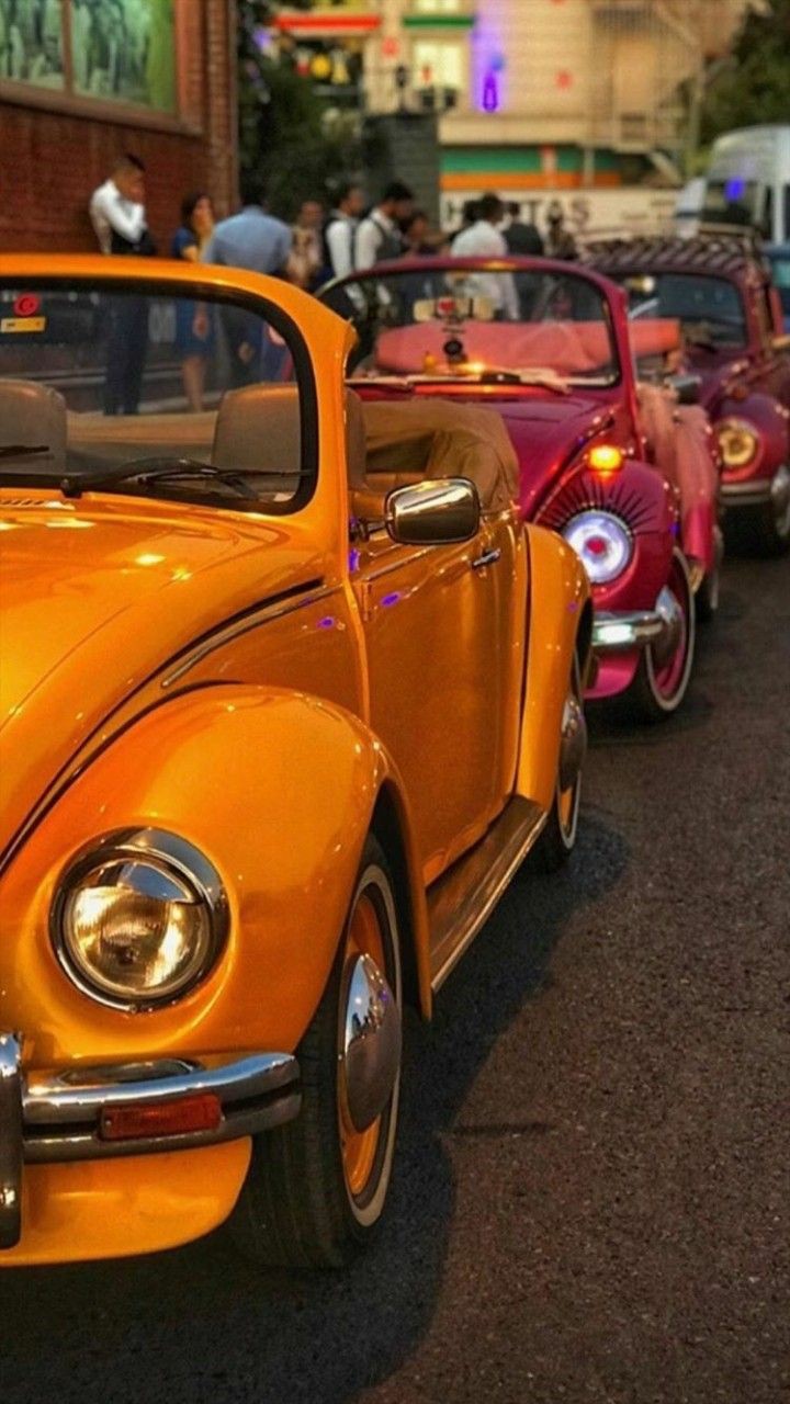 ���� ���� ������ �� ���� ������