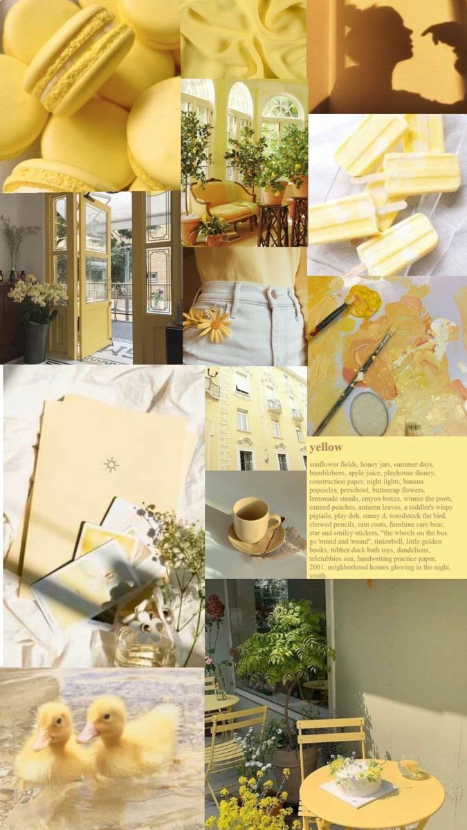 ���� ���� ������ �� ���� ������