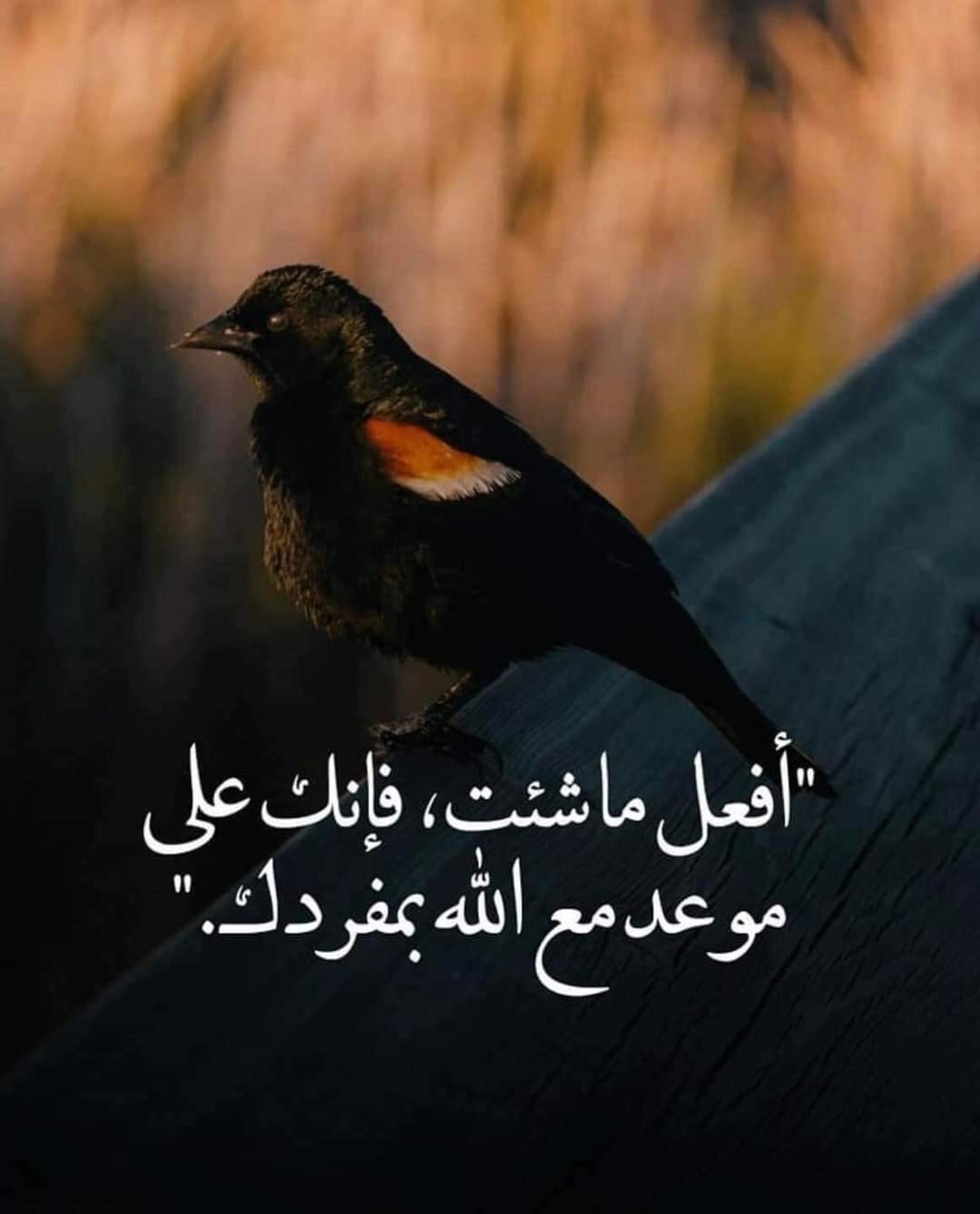 ���� ���� ������ �� ���� ������