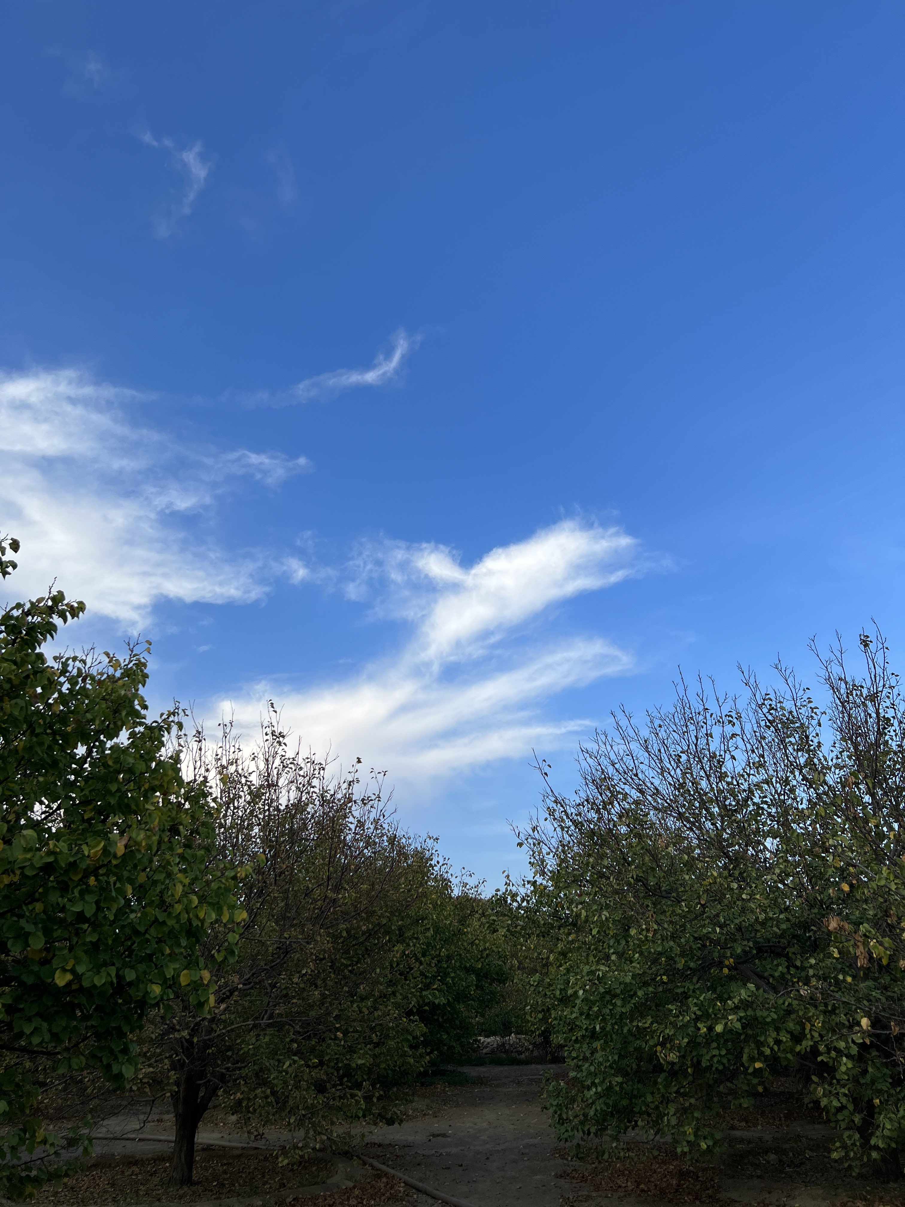 ���� ���� ������ �� ���� ������