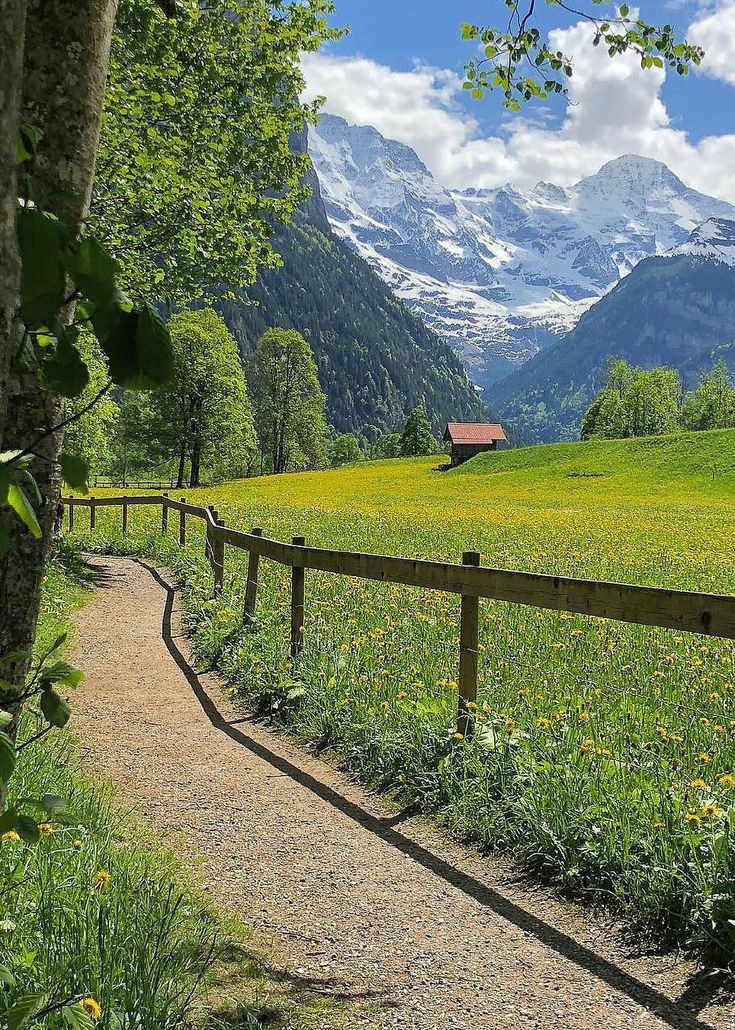 ���� ���� ������ �� ���� ������