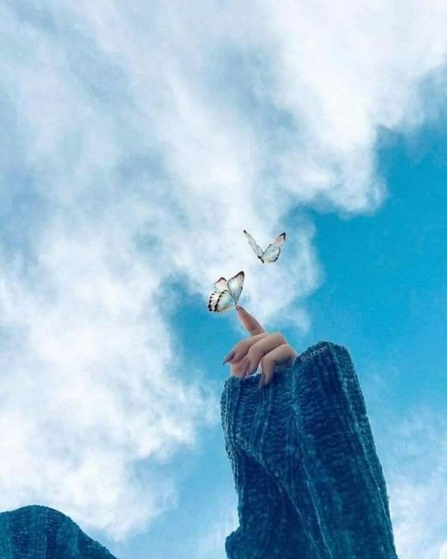 ���� ���� ������ �� ���� ������