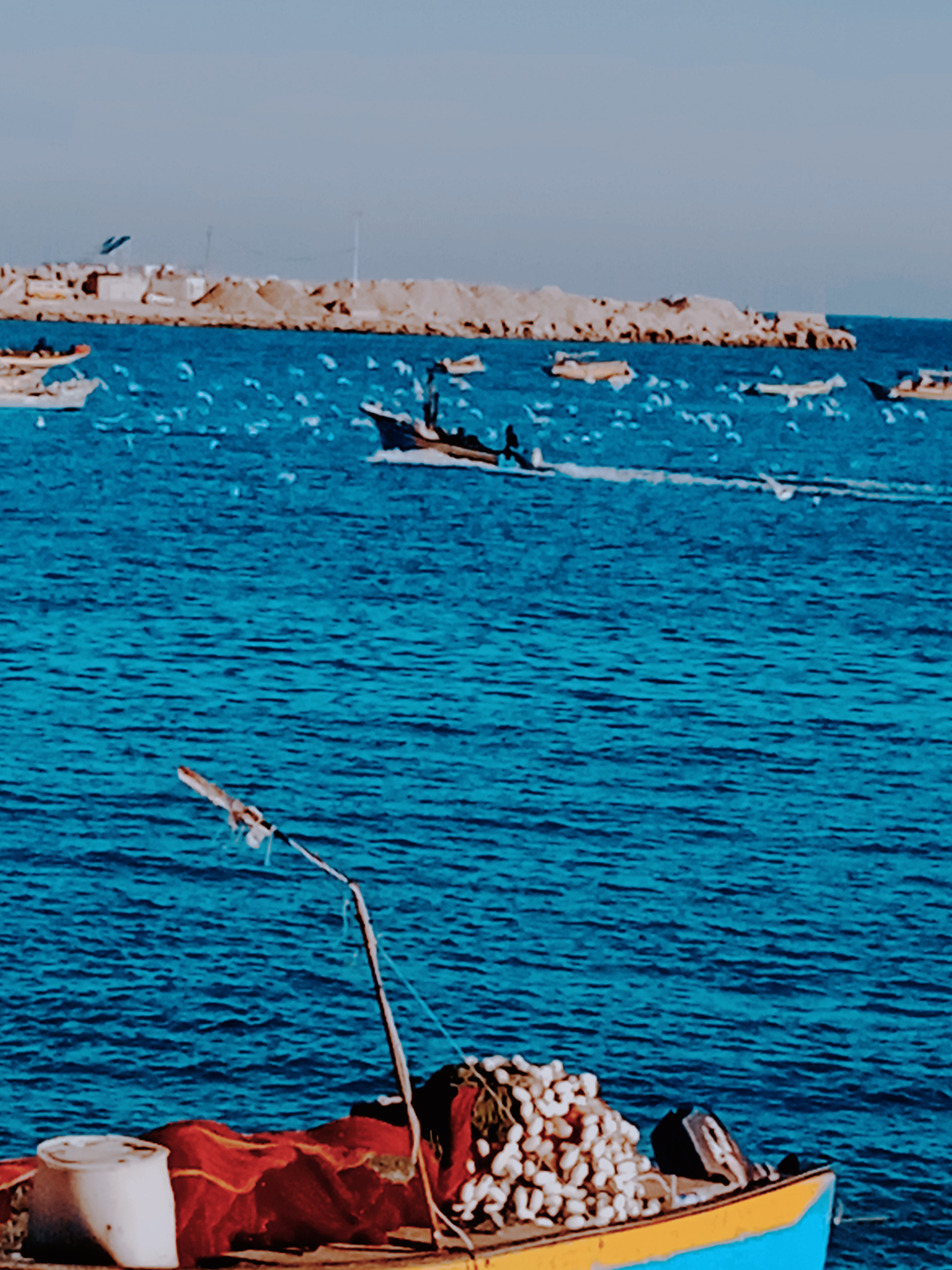 نقره لعرض الصورة في صفحة مستقلة