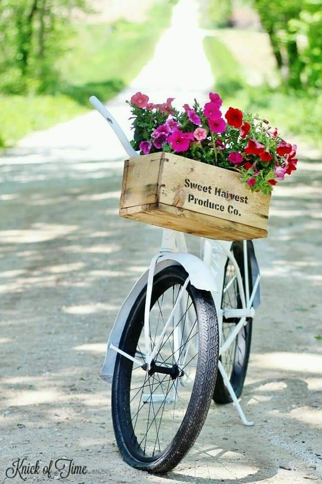 ���� ���� ������ �� ���� ������