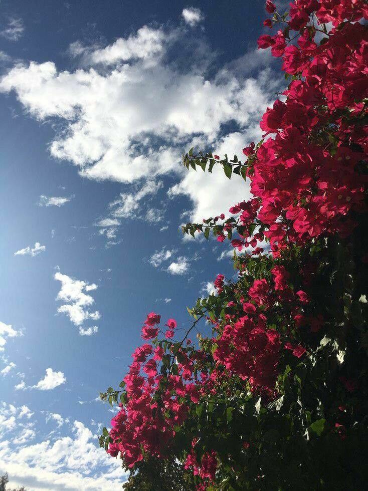 ���� ���� ������ �� ���� ������