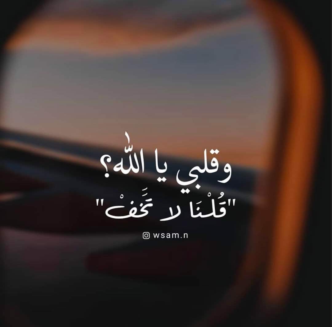 ���� ���� ������ �� ���� ������