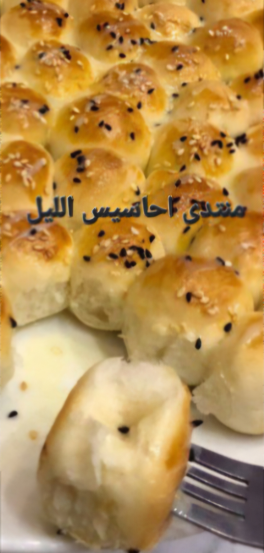     p_3381w3equ0.jpg