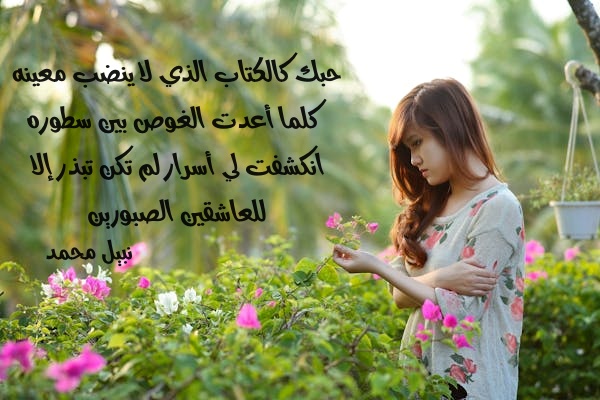 ����� ���� ��������