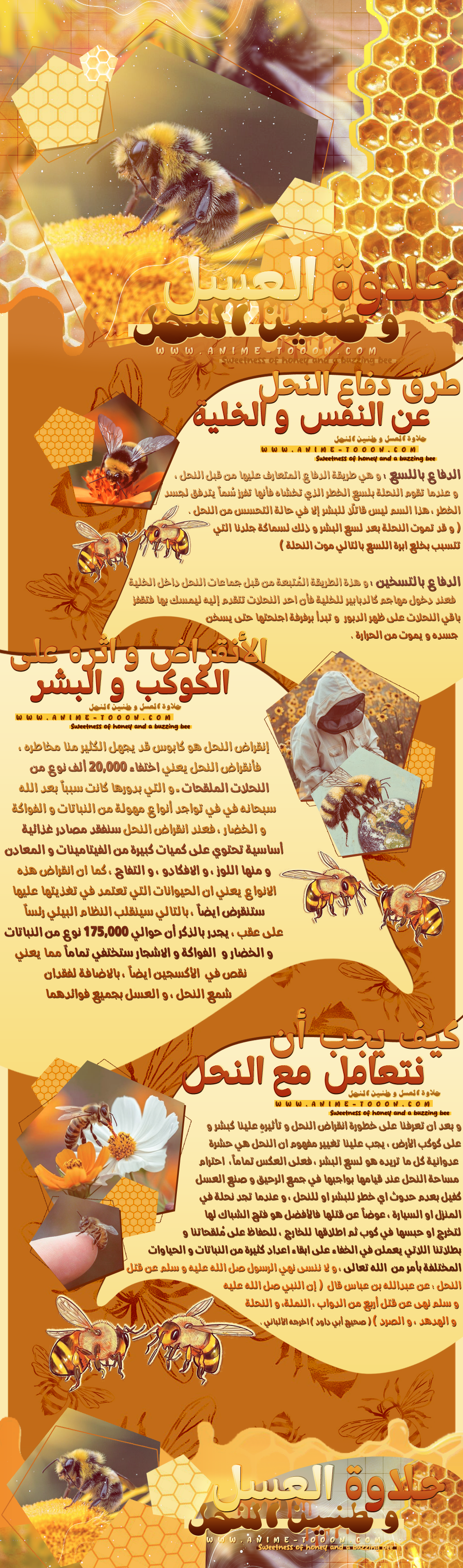 p_3470hbs9b1.png