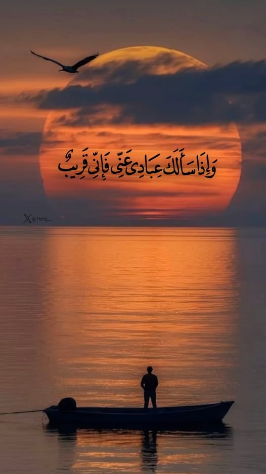 ������ ���� ������ �� ���� ������