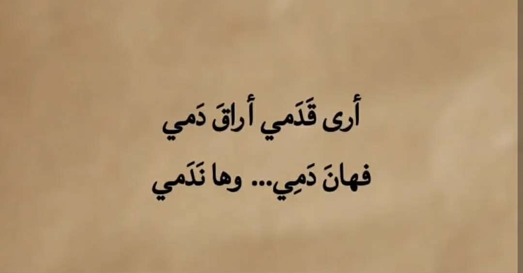 ���� ���� ������ �� ���� ������