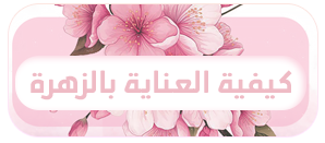 p_3779v37gl1.png