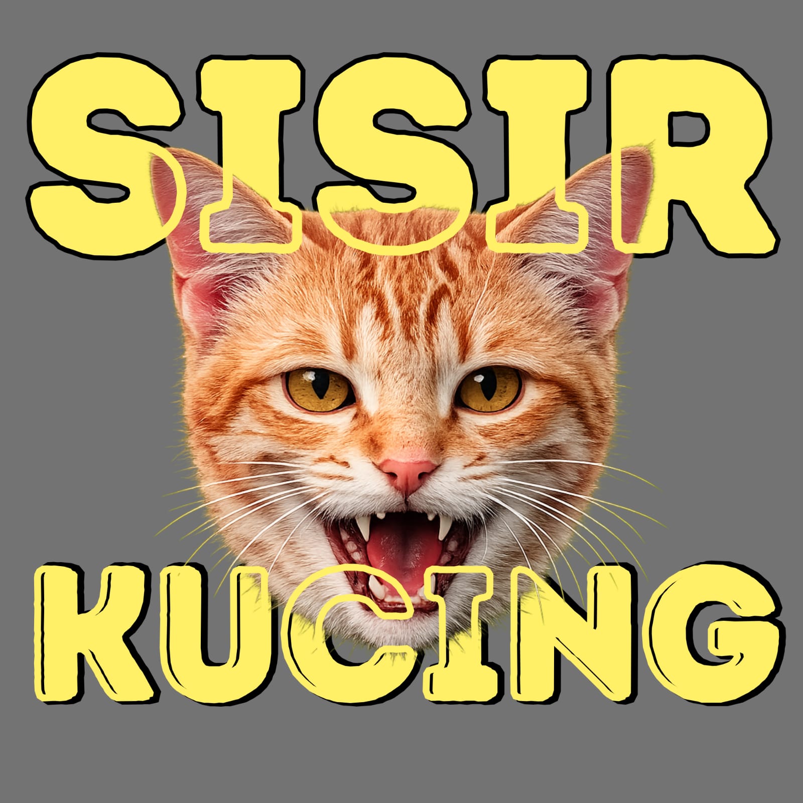 Sisir Kucing