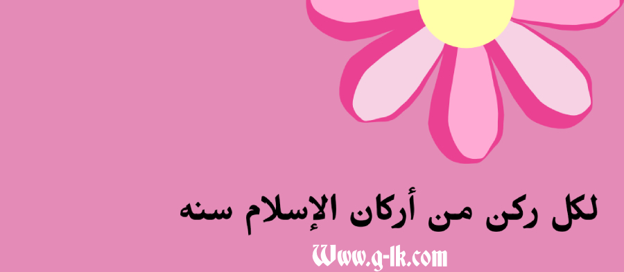 أركان الإسلام